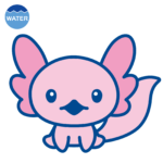 あほろぱっち